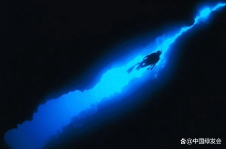 最新研究：深海海沟底部不成比例地堆积着大量的碳